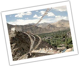 Ladakh travel Agency