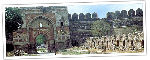 Rajasthan Tour Operator